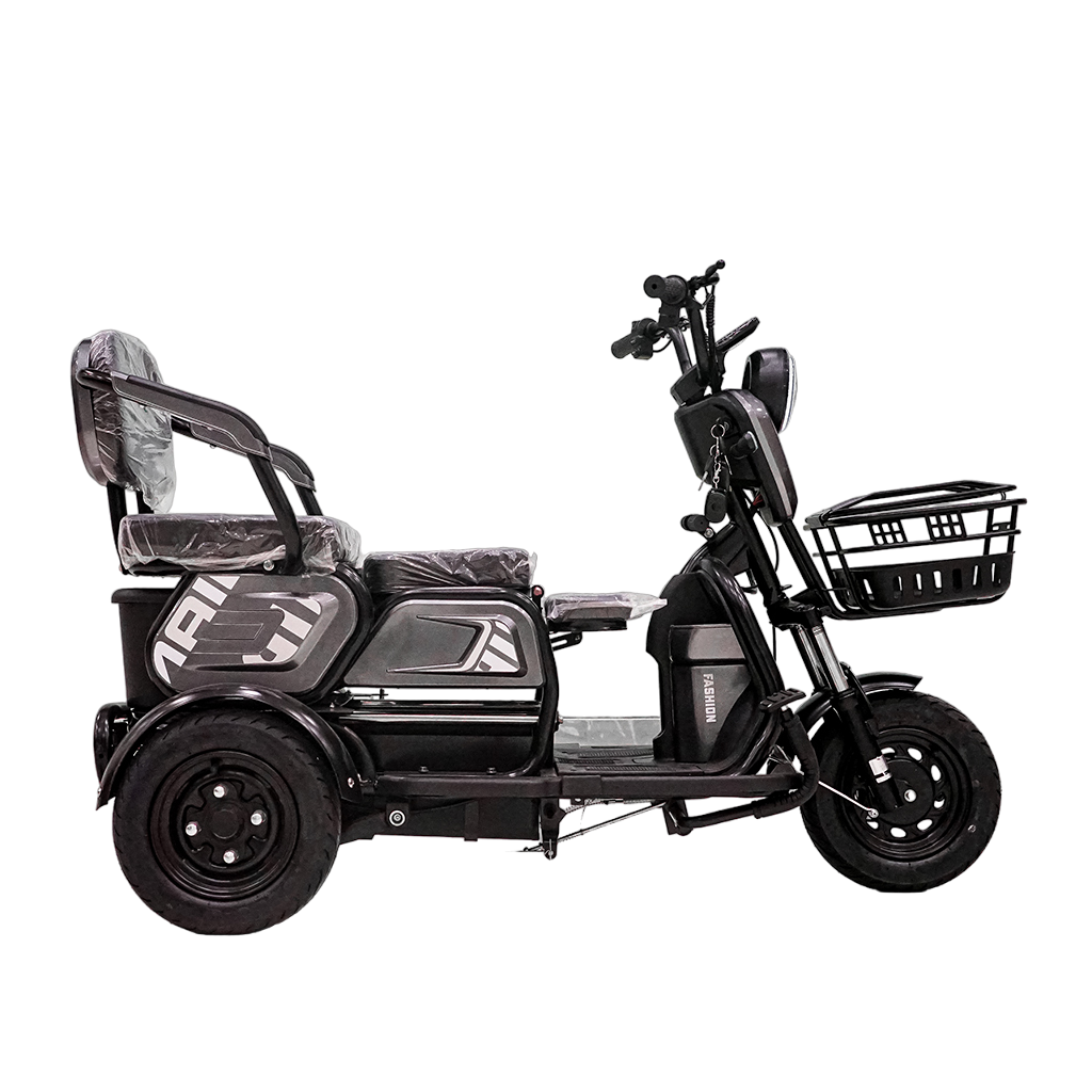 CRONY X3B motorcycle electric bike 350W 48V Electric Motorcycle Electric Bicycles 3 wheel motorcycle