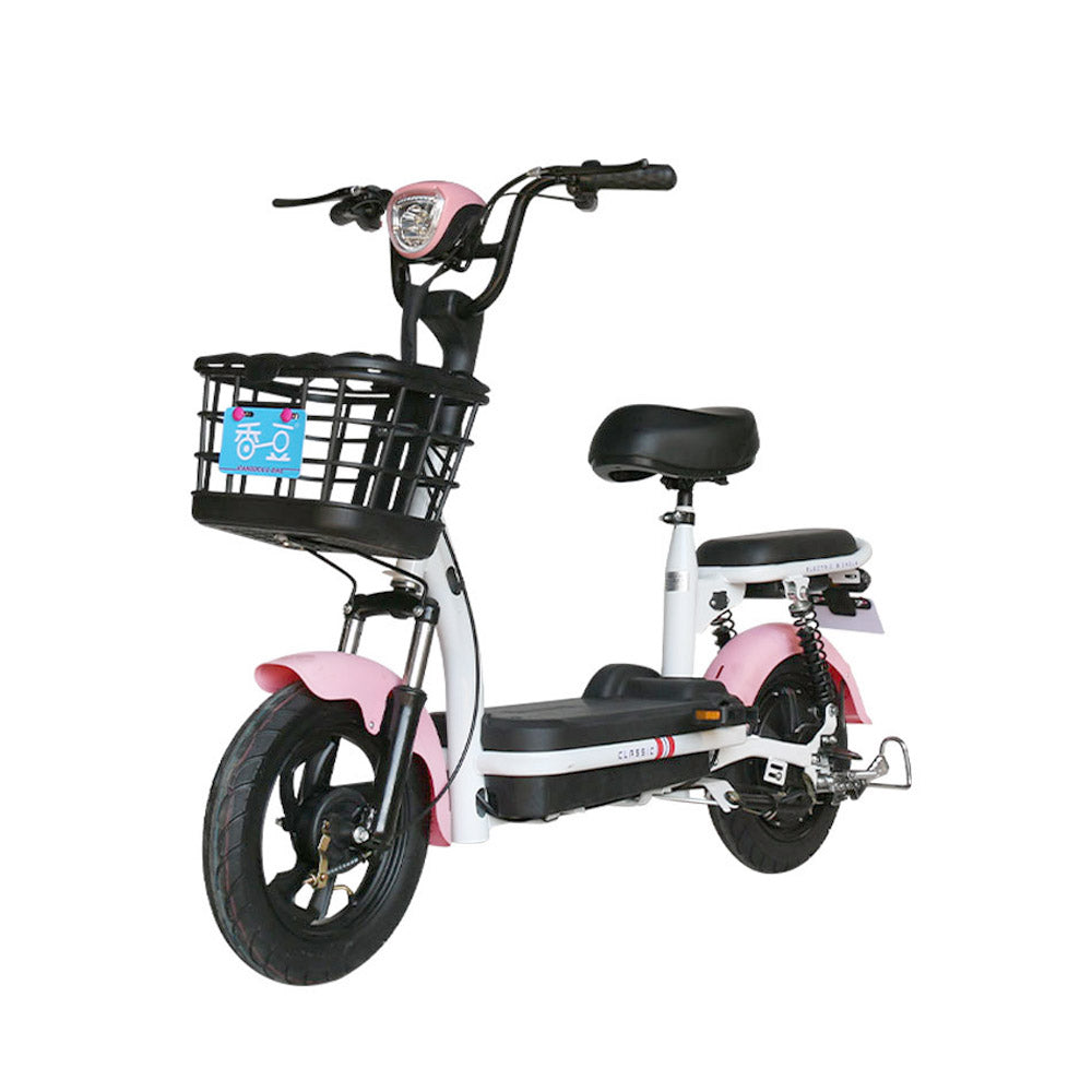 W4 motorcycle electric bike 350W 48V electric motorcycle Electric Bicycles