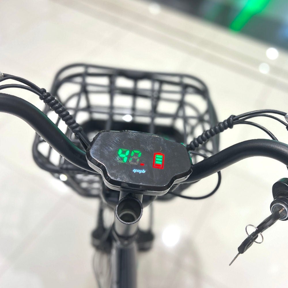 CRONY 22inch The fire spirit bird Electric bicycle E-BIKE bike