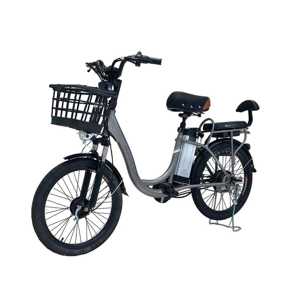 CRONY 22inch The fire spirit bird Electric bicycle E-BIKE bike