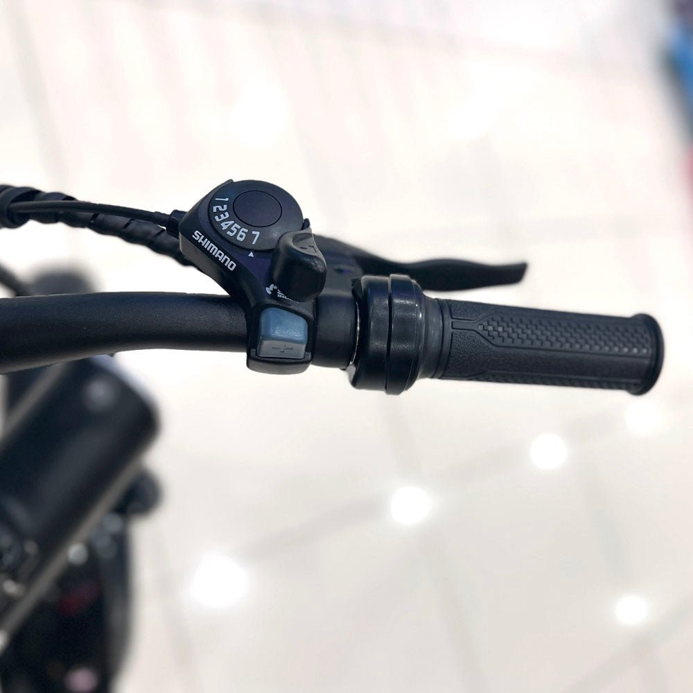 CRONY Q3 Off-road fat tire 48V/750W aluminum alloy E-bike 20 inch fat tire off road bicy Scootercle electric bike Scooter