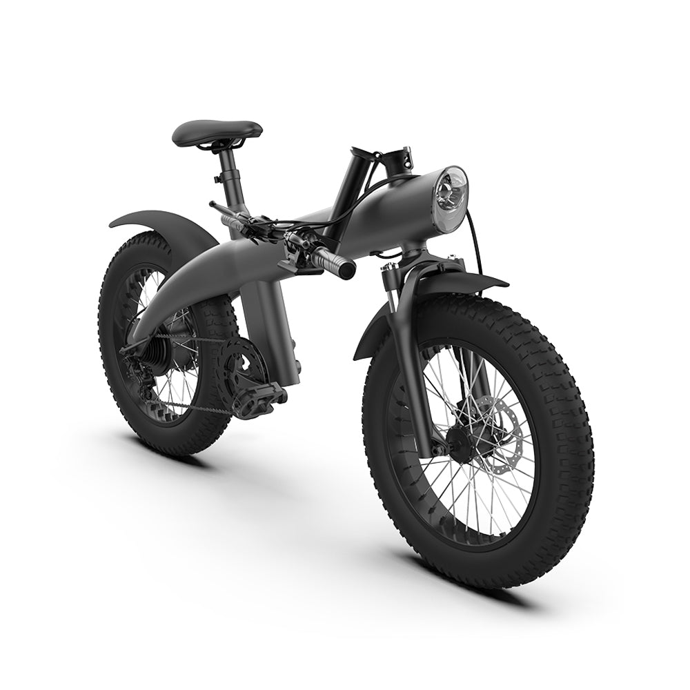 CRONY Q3 Off-road fat tire 48V/750W aluminum alloy E-bike 20 inch fat tire off road bicy Scootercle electric bike Scooter