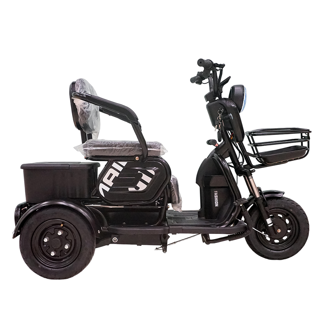 CRONY X3B motorcycle electric bike 350W 48V Electric Motorcycle Electric Bicycles 3 wheel motorcycle