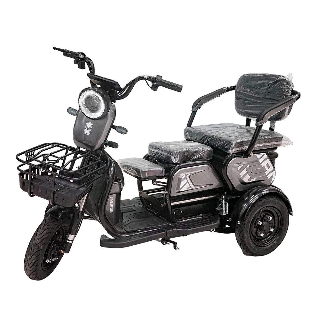 CRONY X3B motorcycle electric bike 350W 48V Electric Motorcycle Electric Bicycles 3 wheel motorcycle