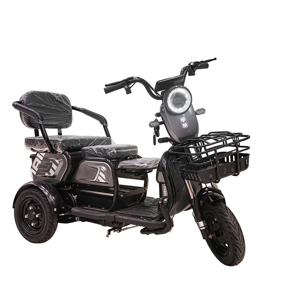 CRONY X3B motorcycle electric bike 350W 48V Electric Motorcycle Electric Bicycles 3 wheel motorcycle