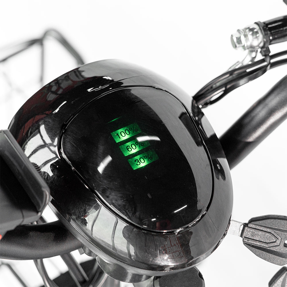 18inch Take-out electric bicycle BIKE Fast food delivery electric bike