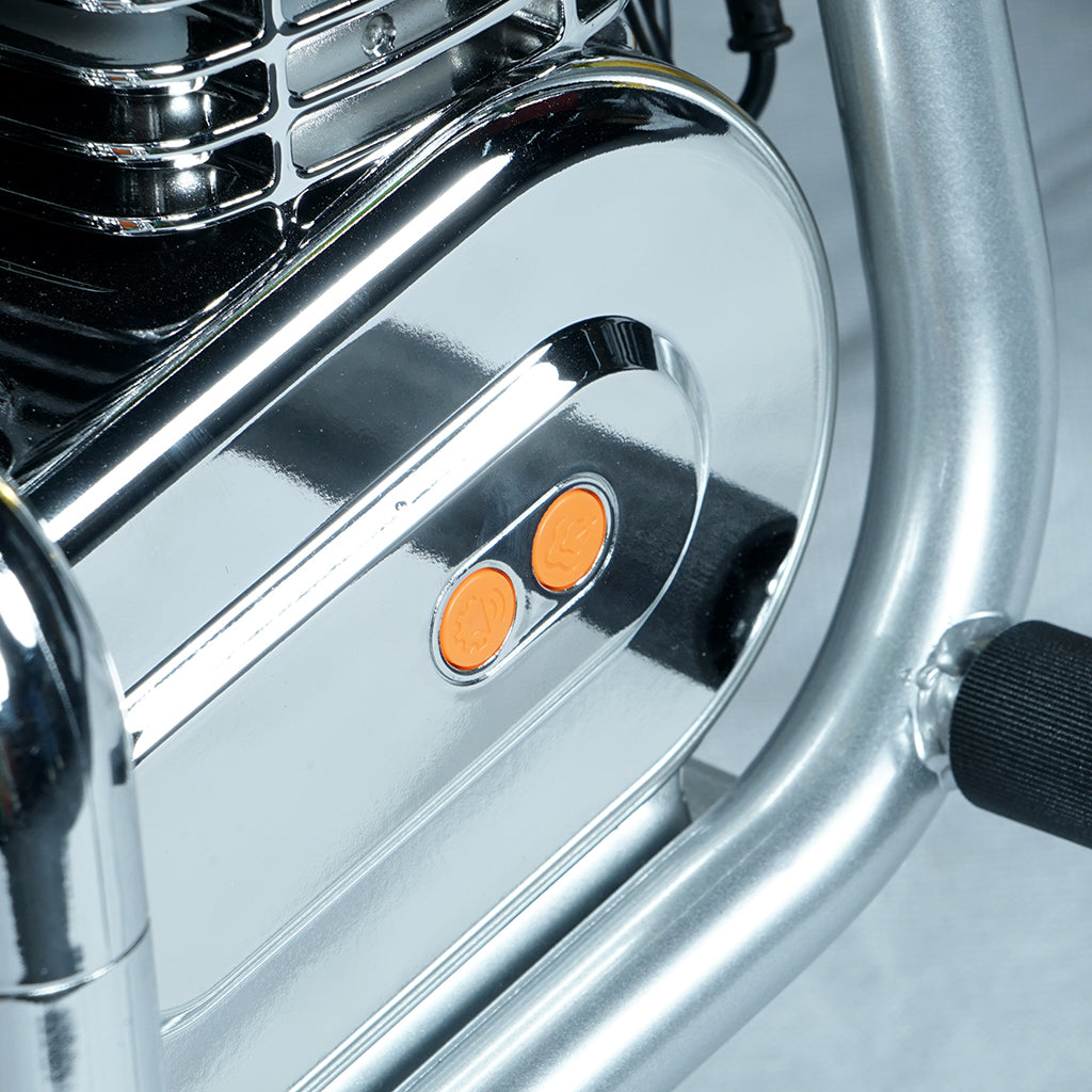 CRONY EL-MB05C Electric Scooter 160W Motor 22.2V/5.2AH Battery 10-12KM Range Normal Brake LCD Display Kids Electric Motorbike Scooter