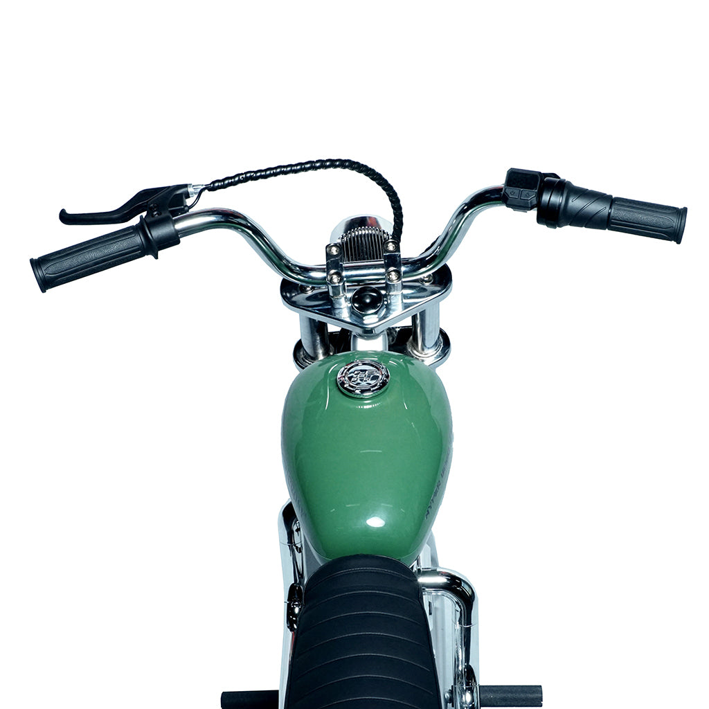 CRONY EL-MB05C Electric Scooter 160W Motor 22.2V/5.2AH Battery 10-12KM Range Normal Brake LCD Display Kids Electric Motorbike Scooter