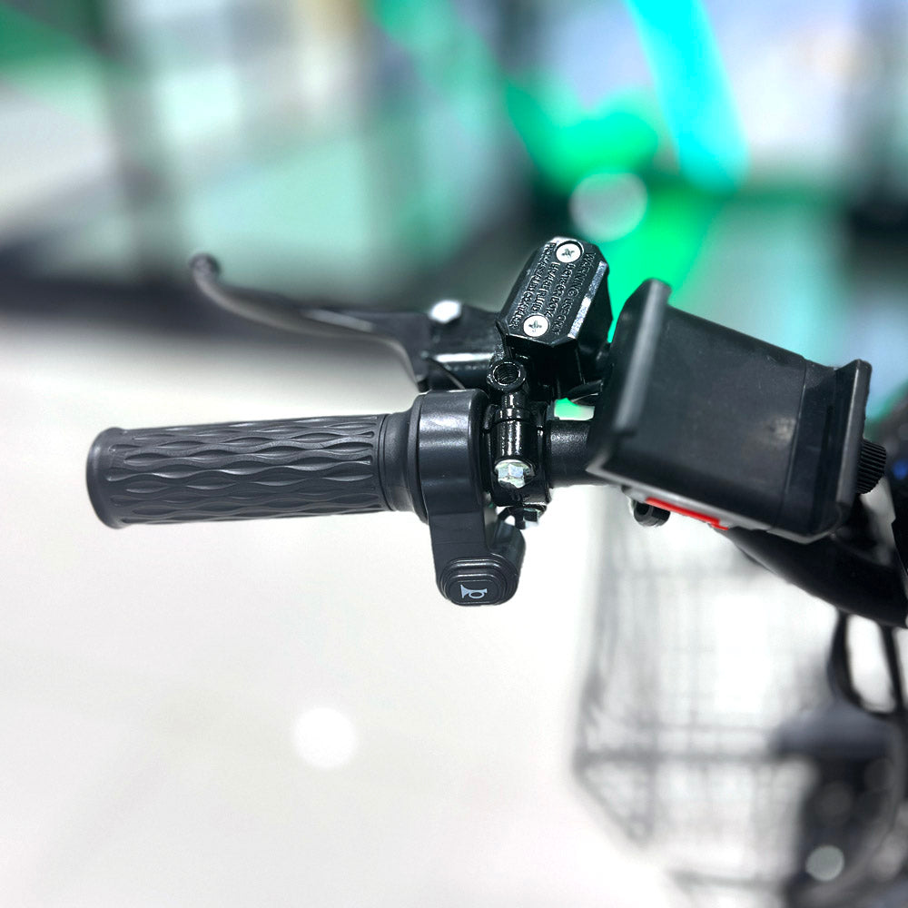 18inch Take-out electric bicycle BIKE Fast food delivery electric bike