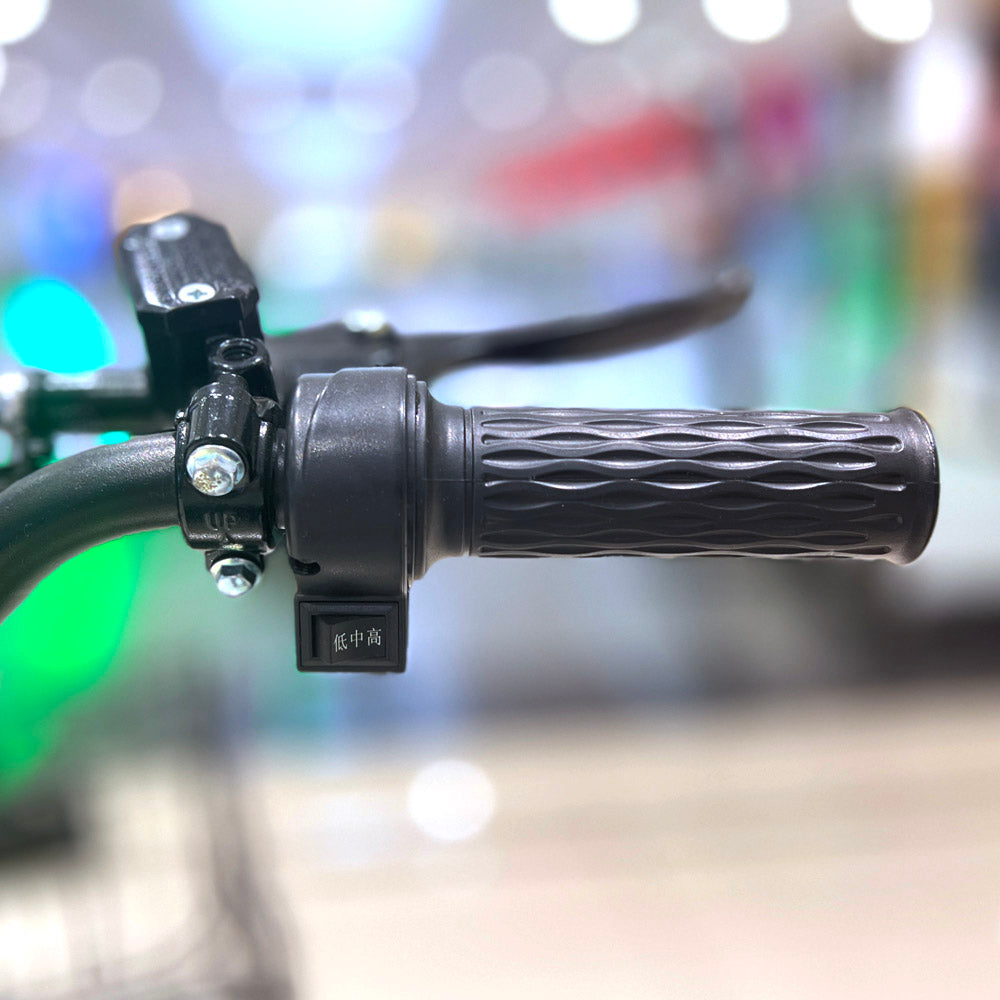 18inch Take-out electric bicycle BIKE Fast food delivery electric bike