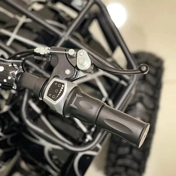 Crony JL025-01 – Four-Wheel Kids Desert Buggy