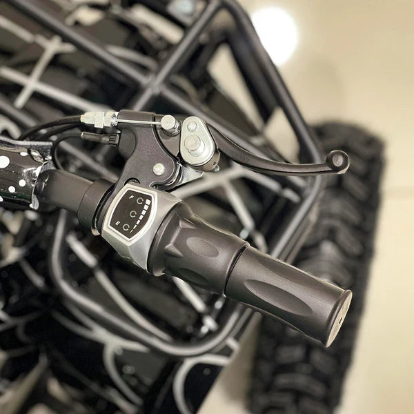 Crony JL025-01 – Four-Wheel Kids Desert Buggy (500W, 4x4 Drive, 22 KM/H)