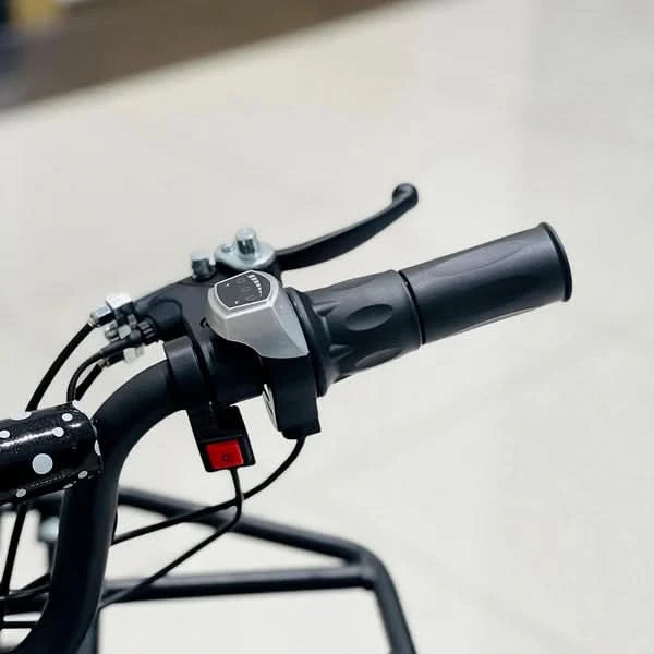 Crony JL025-01 – Four-Wheel Kids Desert Buggy