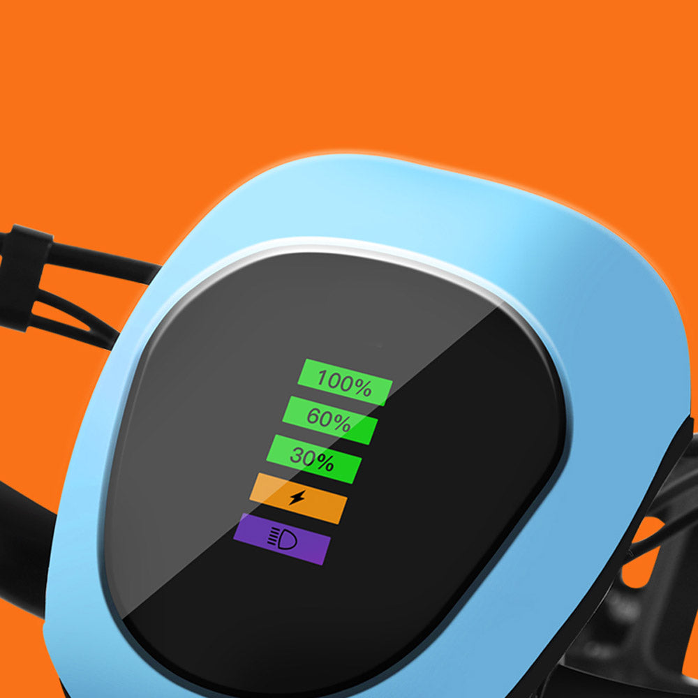 W4 motorcycle electric bike 350W 48V electric motorcycle Electric Bicycles