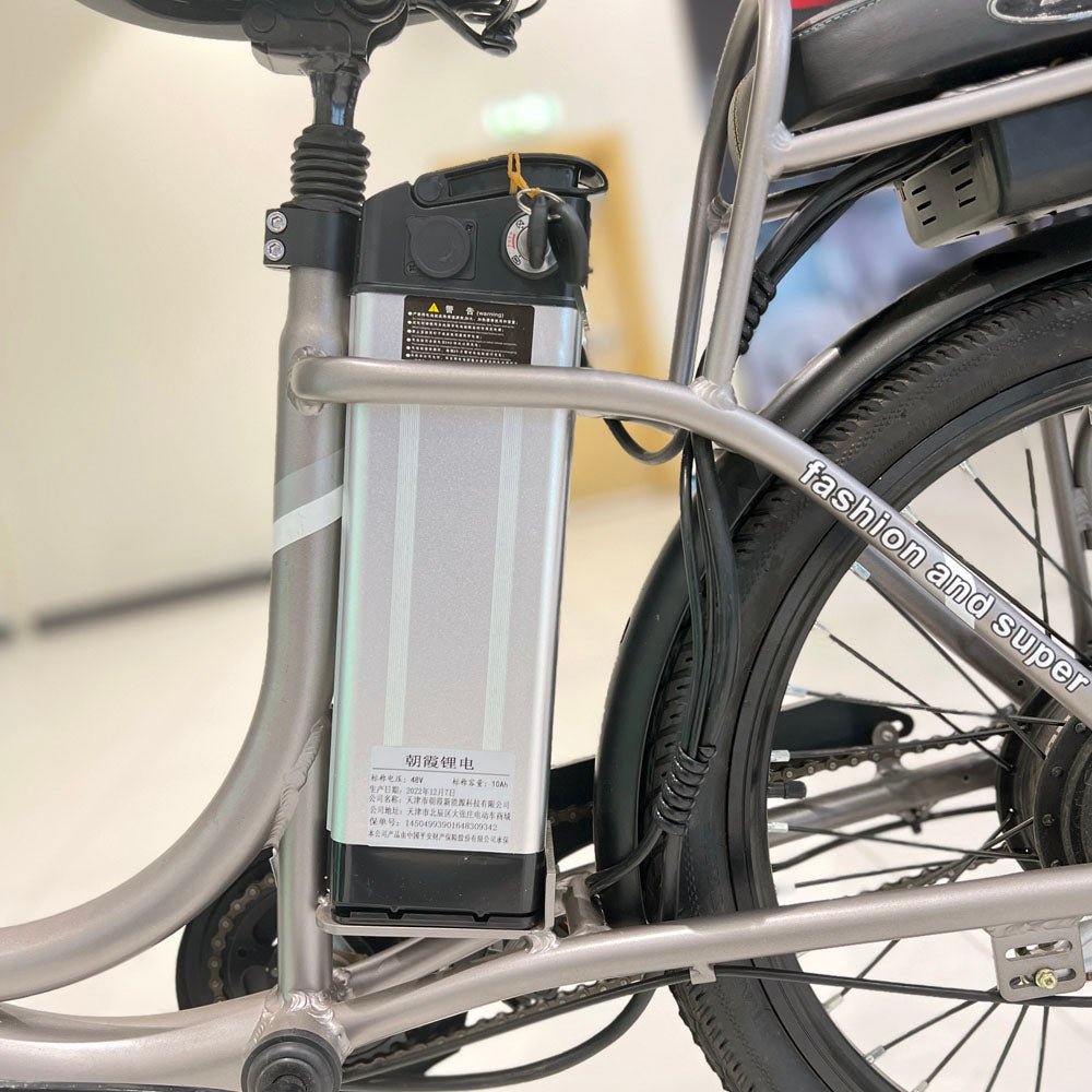 CRONY 22inch The fire spirit bird Electric bicycle E-BIKE bike