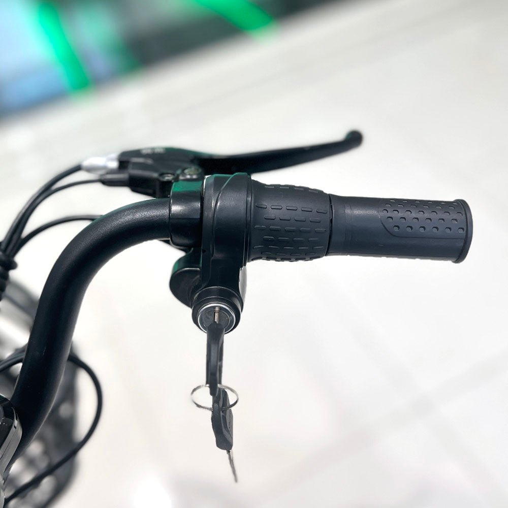 CRONY 22inch The fire spirit bird Electric bicycle E-BIKE bike