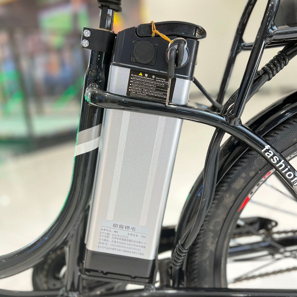 CRONY 22inch The fire spirit bird Electric bicycle E-BIKE bike