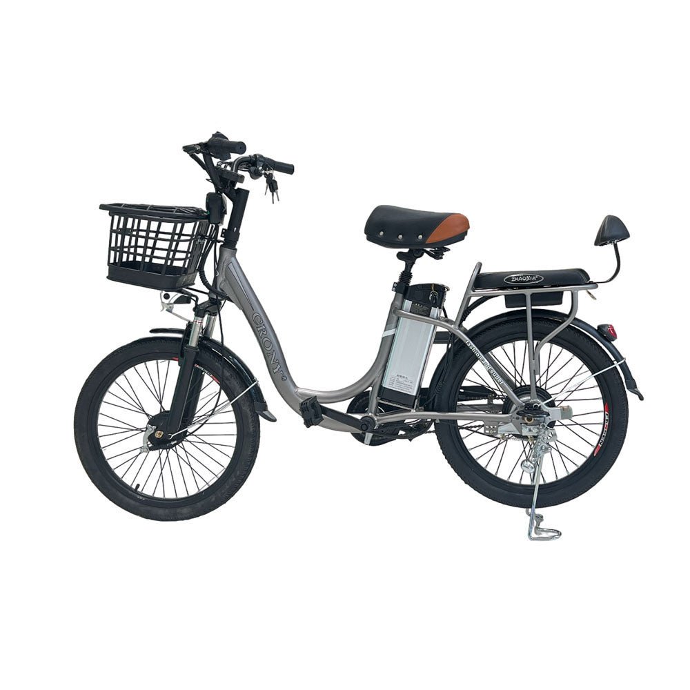CRONY 22inch The fire spirit bird Electric bicycle E-BIKE bike
