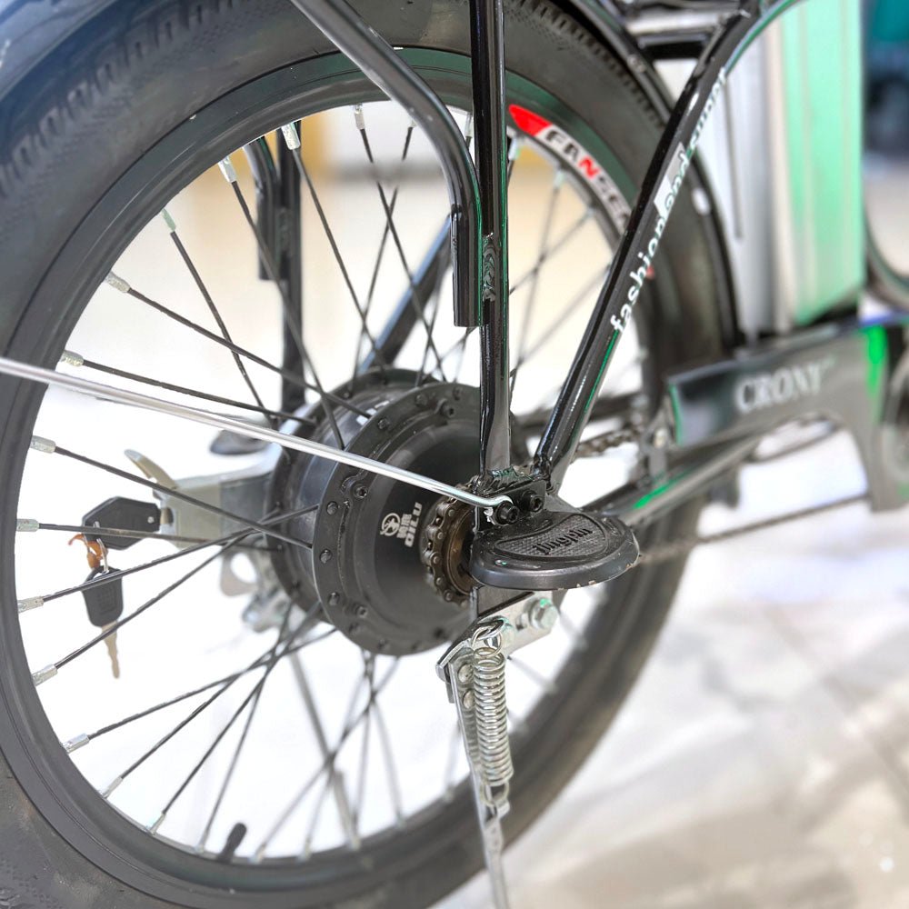 CRONY 22inch The fire spirit bird Electric bicycle E-BIKE bike