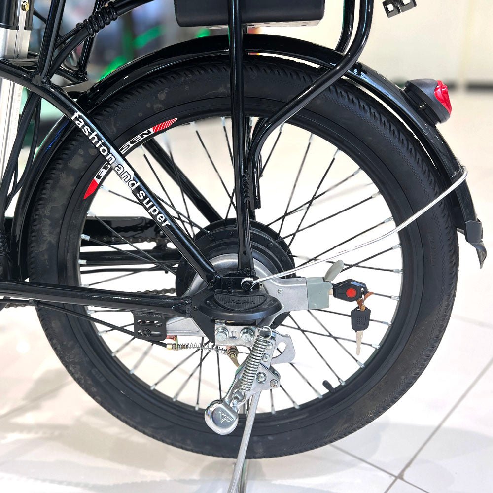 CRONY 22inch The fire spirit bird Electric bicycle E-BIKE bike