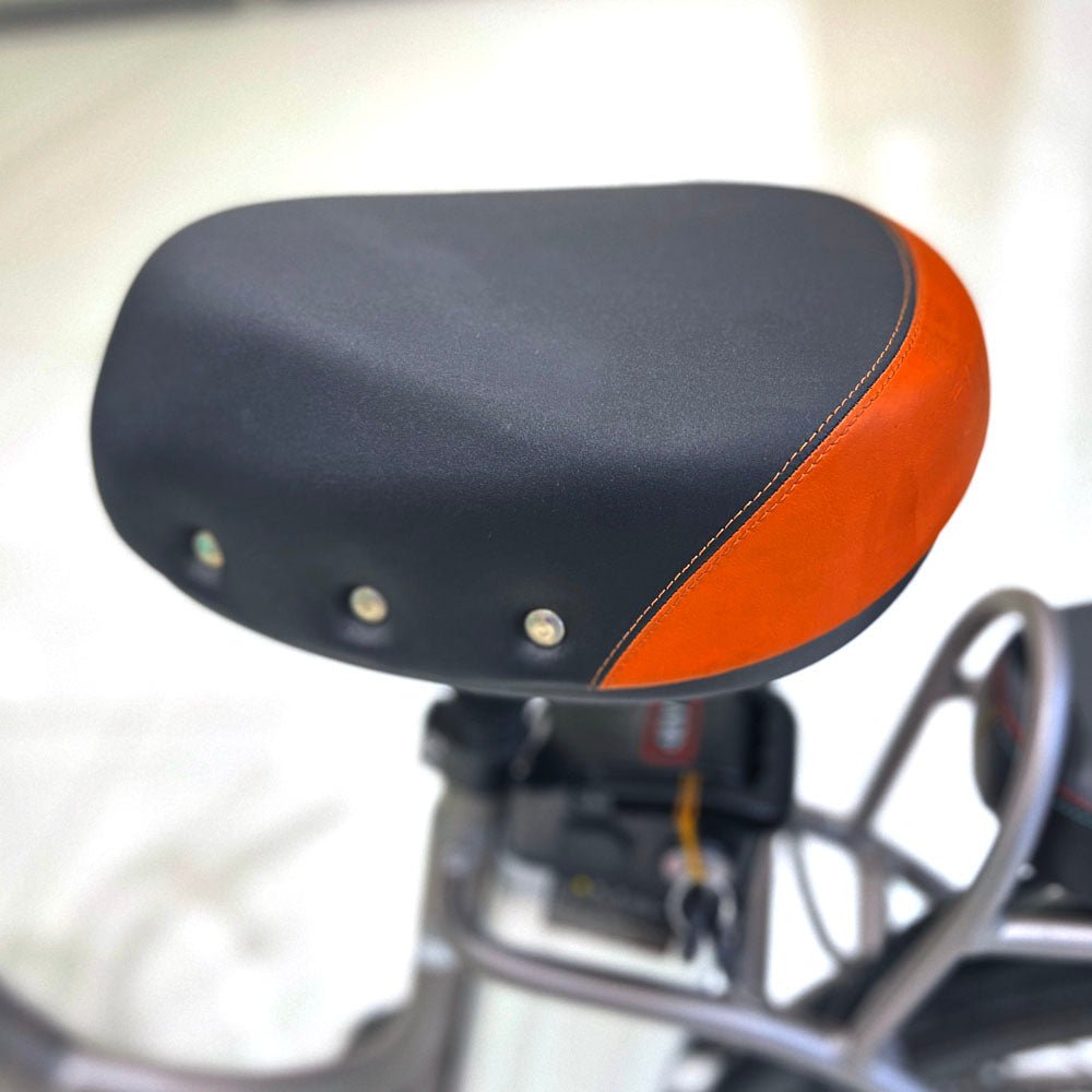 CRONY 22inch The fire spirit bird Electric bicycle E-BIKE bike