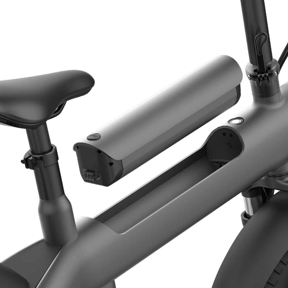 CRONY Q3 Off-road fat tire 48V/750W aluminum alloy E-bike 20 inch fat tire off road bicy Scootercle electric bike Scooter