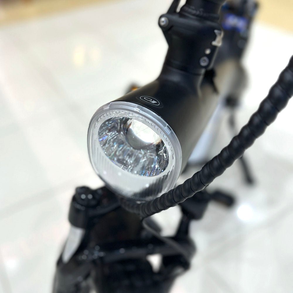 CRONY Q3 Off-road fat tire 48V/750W aluminum alloy E-bike 20 inch fat tire off road bicy Scootercle electric bike Scooter