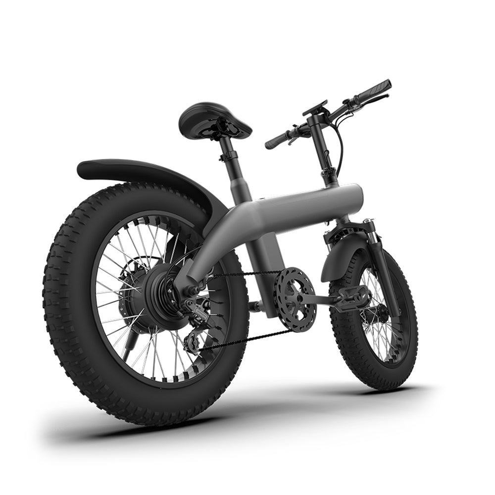 CRONY Q3 Off-road fat tire 48V/750W aluminum alloy E-bike 20 inch fat tire off road bicy Scootercle electric bike Scooter