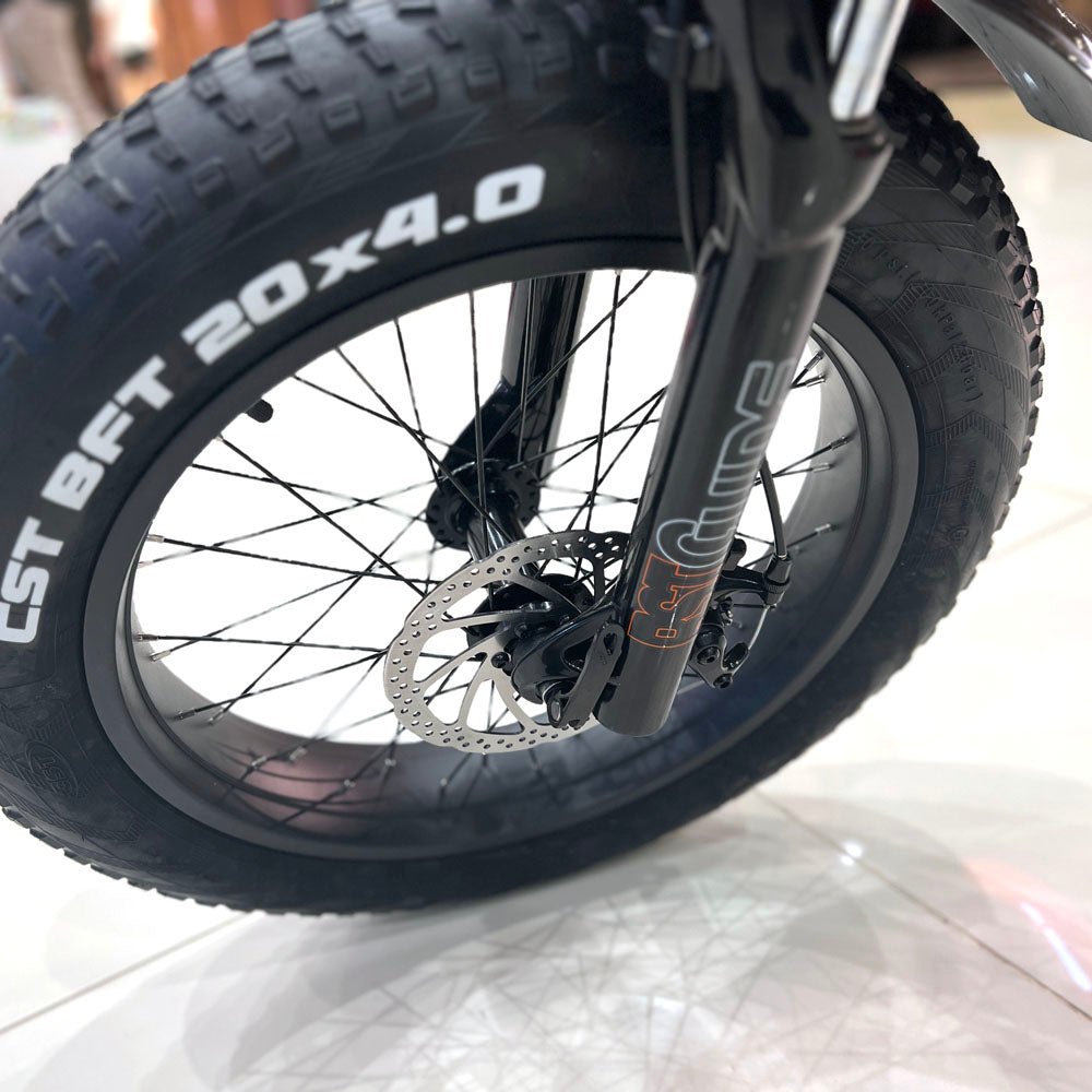CRONY Q3 Off-road fat tire 48V/750W aluminum alloy E-bike 20 inch fat tire off road bicy Scootercle electric bike Scooter