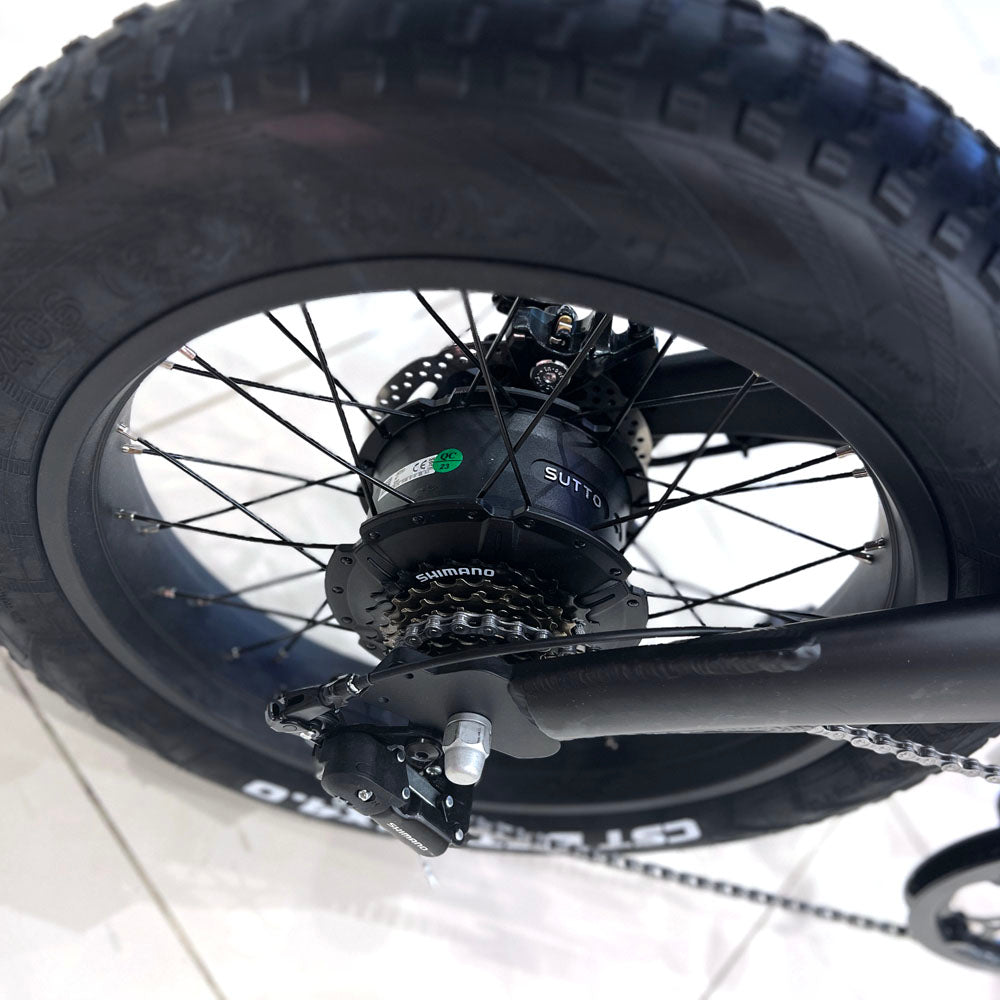 CRONY Q3 Off-road fat tire 48V/750W aluminum alloy E-bike 20 inch fat tire off road bicy Scootercle electric bike Scooter