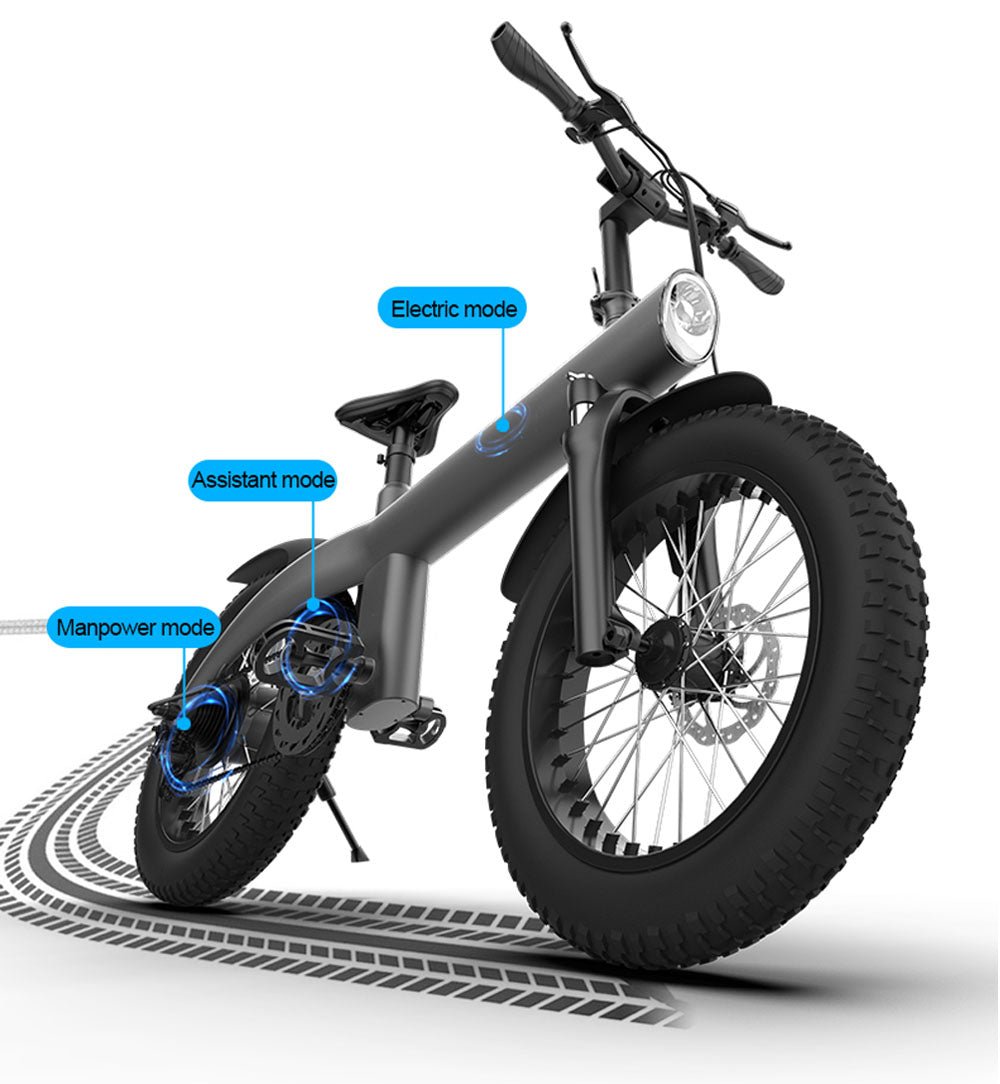 CRONY Q3 Off-road fat tire 48V/750W aluminum alloy E-bike 20 inch fat tire off road bicy Scootercle electric bike Scooter