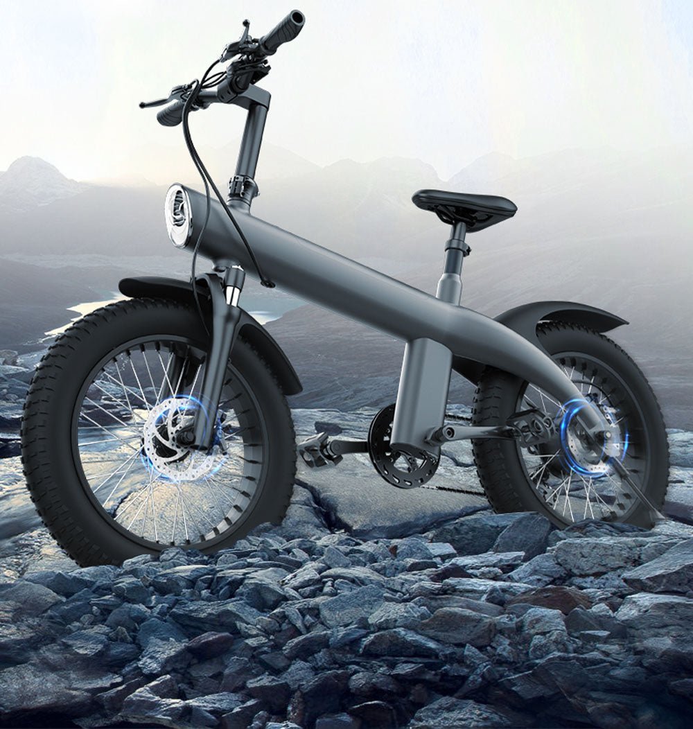 CRONY Q3 Off-road fat tire 48V/750W aluminum alloy E-bike 20 inch fat tire off road bicy Scootercle electric bike Scooter