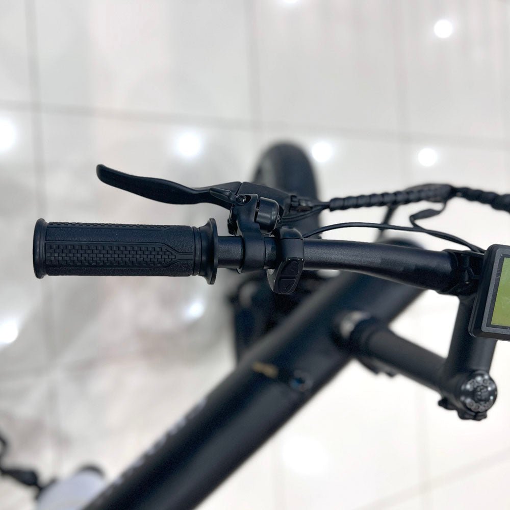 CRONY Q3 Off-road fat tire 48V/750W aluminum alloy E-bike 20 inch fat tire off road bicy Scootercle electric bike Scooter