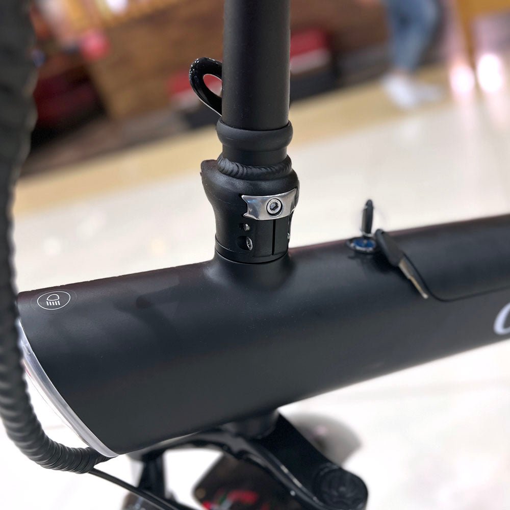 CRONY Q3 Off-road fat tire 48V/750W aluminum alloy E-bike 20 inch fat tire off road bicy Scootercle electric bike Scooter